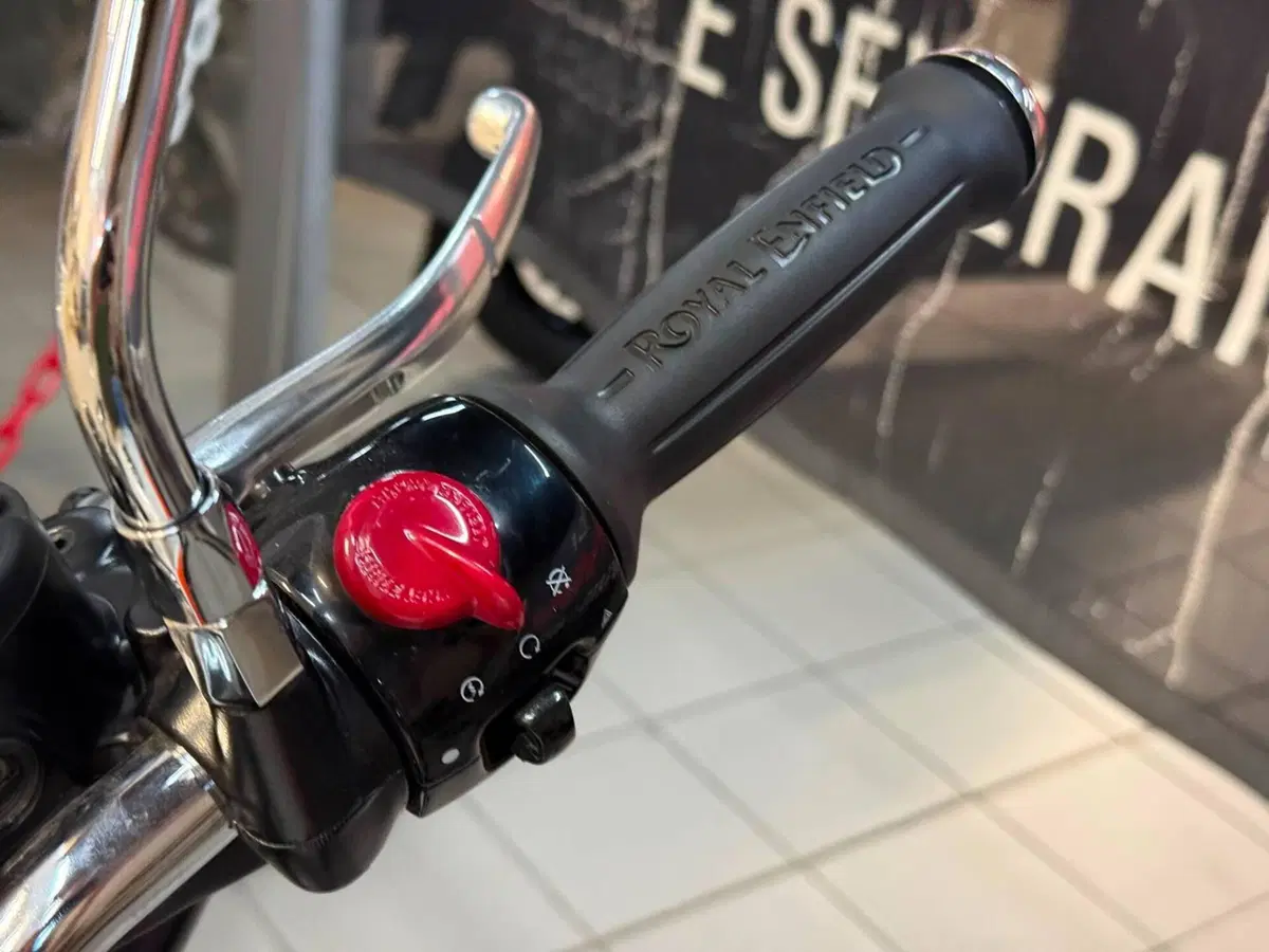 Royal Enfield Bear 650 (2025 - 26) (4)