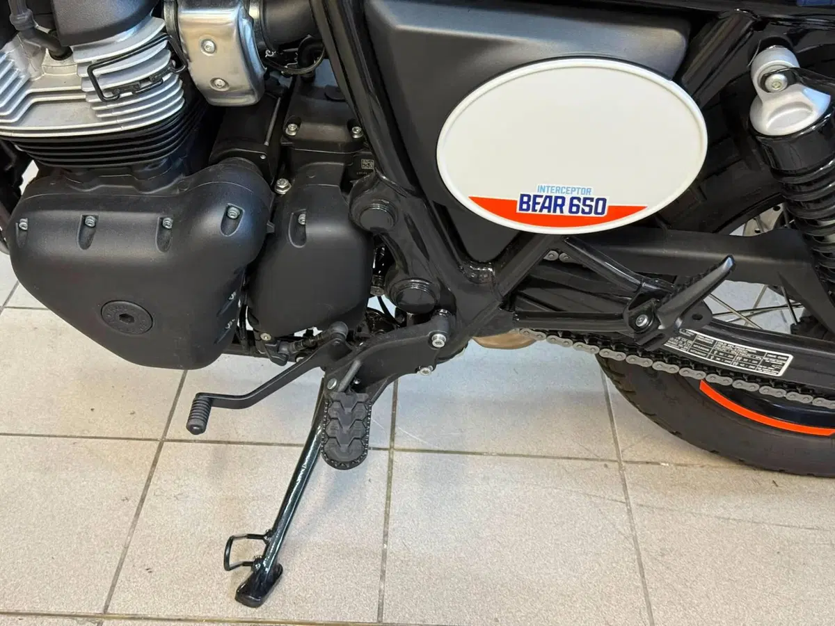 Royal Enfield Bear 650 (2025 - 26) (6)