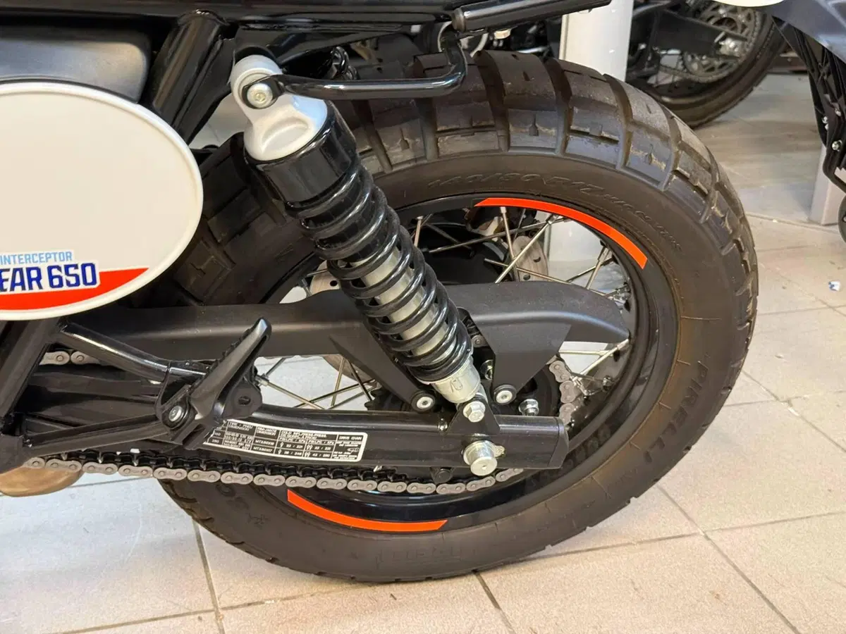 Royal Enfield Bear 650 (2025 - 26) (8)