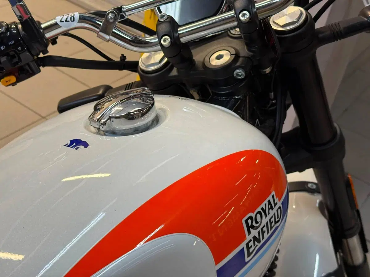 Royal Enfield Bear 650 (2025 - 26) (2)
