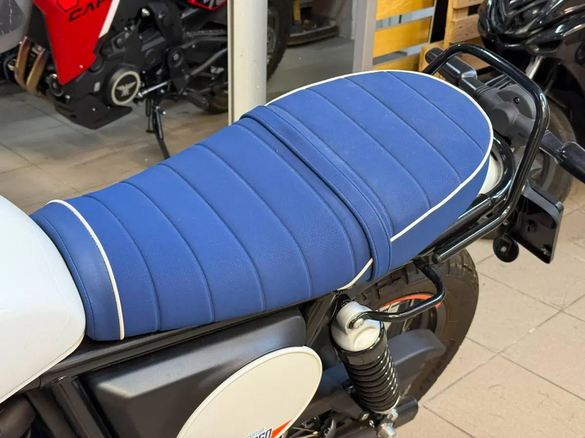 Royal Enfield Bear 650 (2025 - 26) (15)