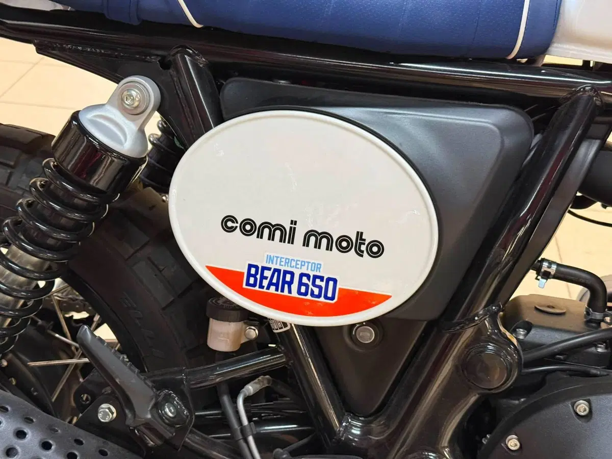 Royal Enfield Bear 650 (2025 - 26) (16)