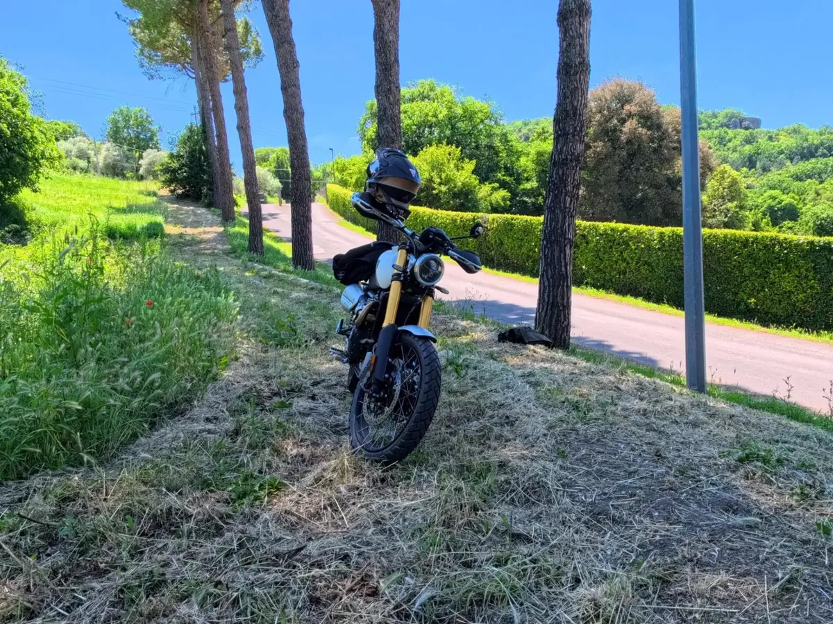 Triumph Scrambler 1200 XE (2026) (4)