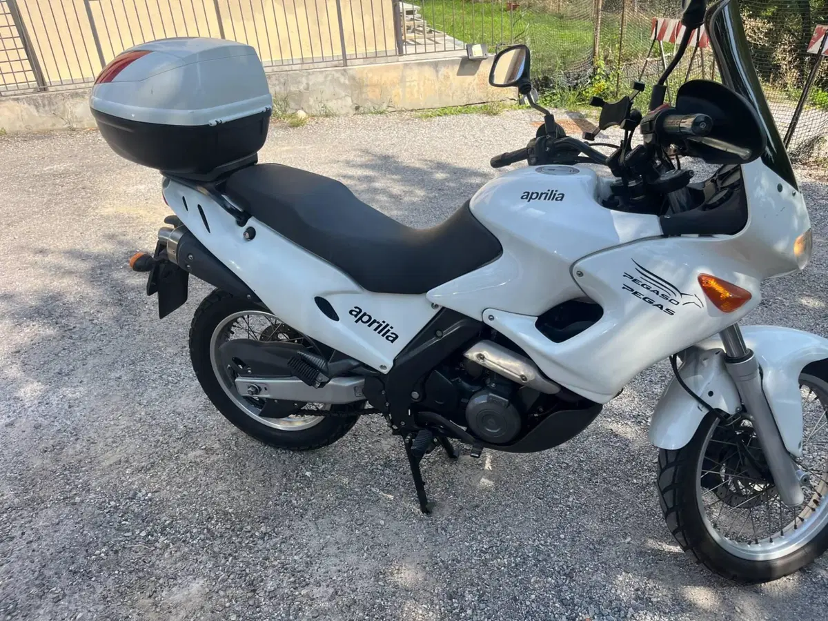 Aprilia Pegaso 650 IE (2001 - 02) (3)