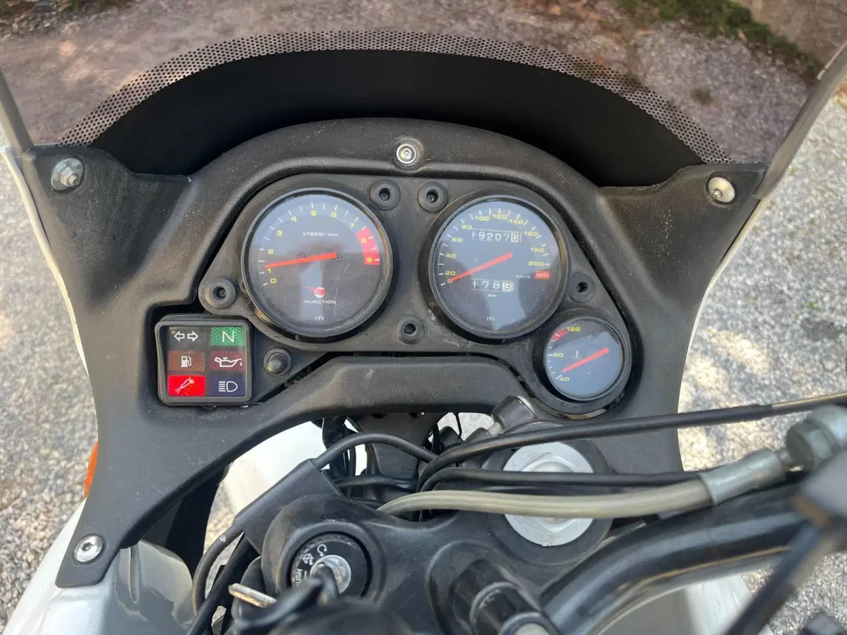 Aprilia Pegaso 650 IE (2001 - 02) (5)