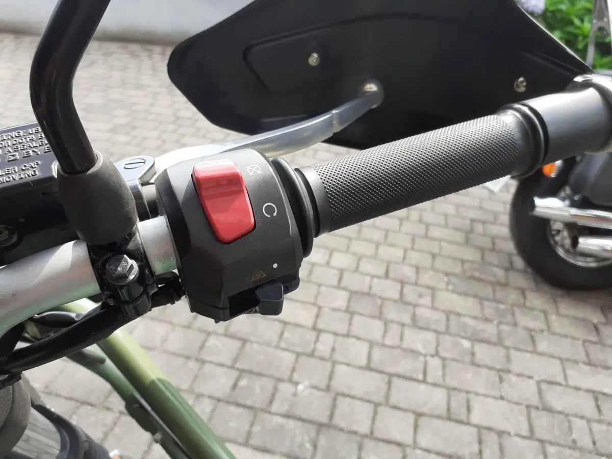 Royal Enfield Himalayan 411 (2021 - 24) (9)