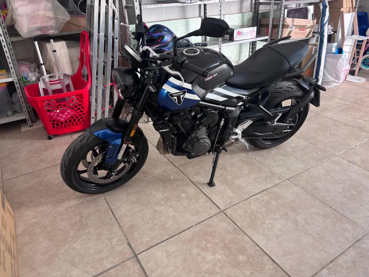 Triumph Trident 660 (2025) (3)