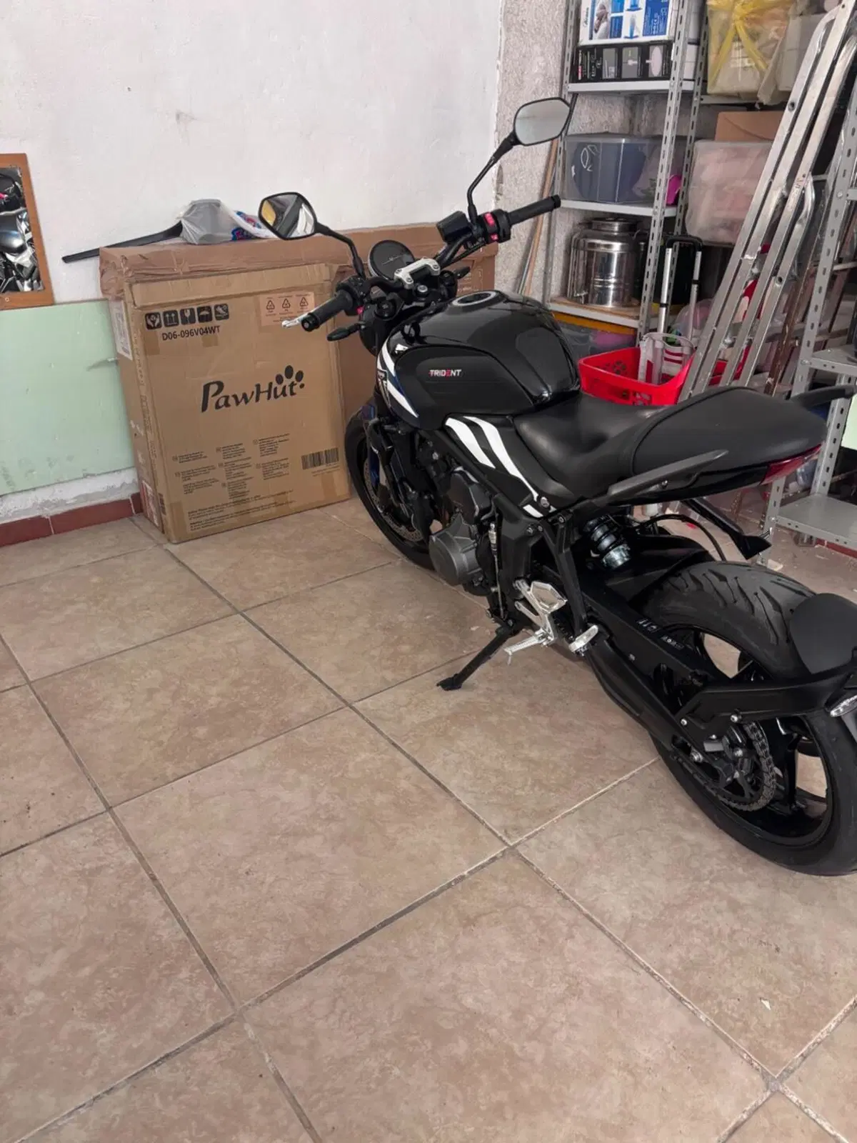 Triumph Trident 660 (2025) (6)