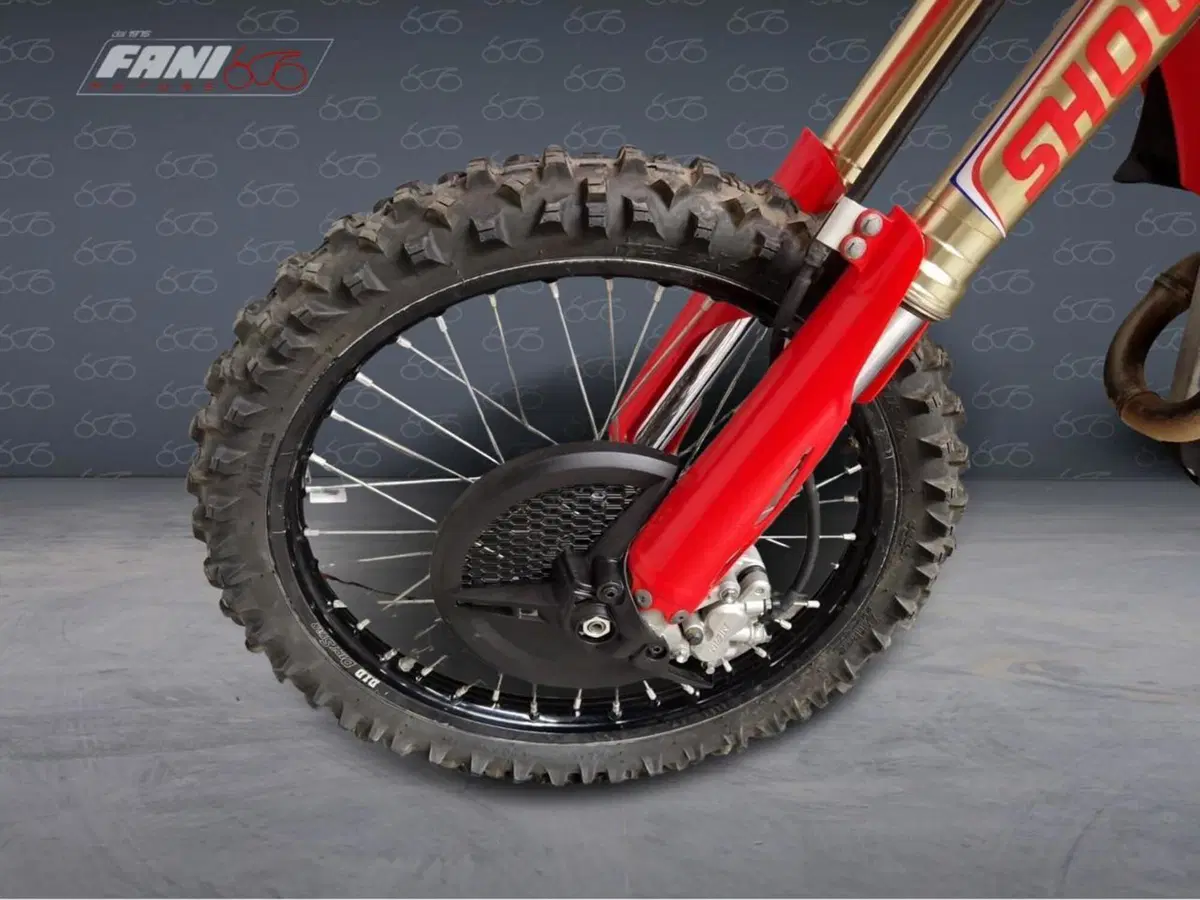 Honda CRF 250RX Enduro (2023) (6)