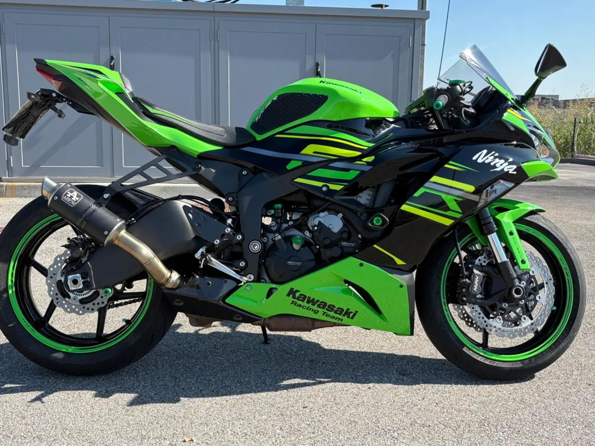 Kawasaki Ninja 636 ZX-6R KRT (2019 - 20) (3)