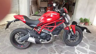 Ducati Monster 797 (2019 - 20) usata