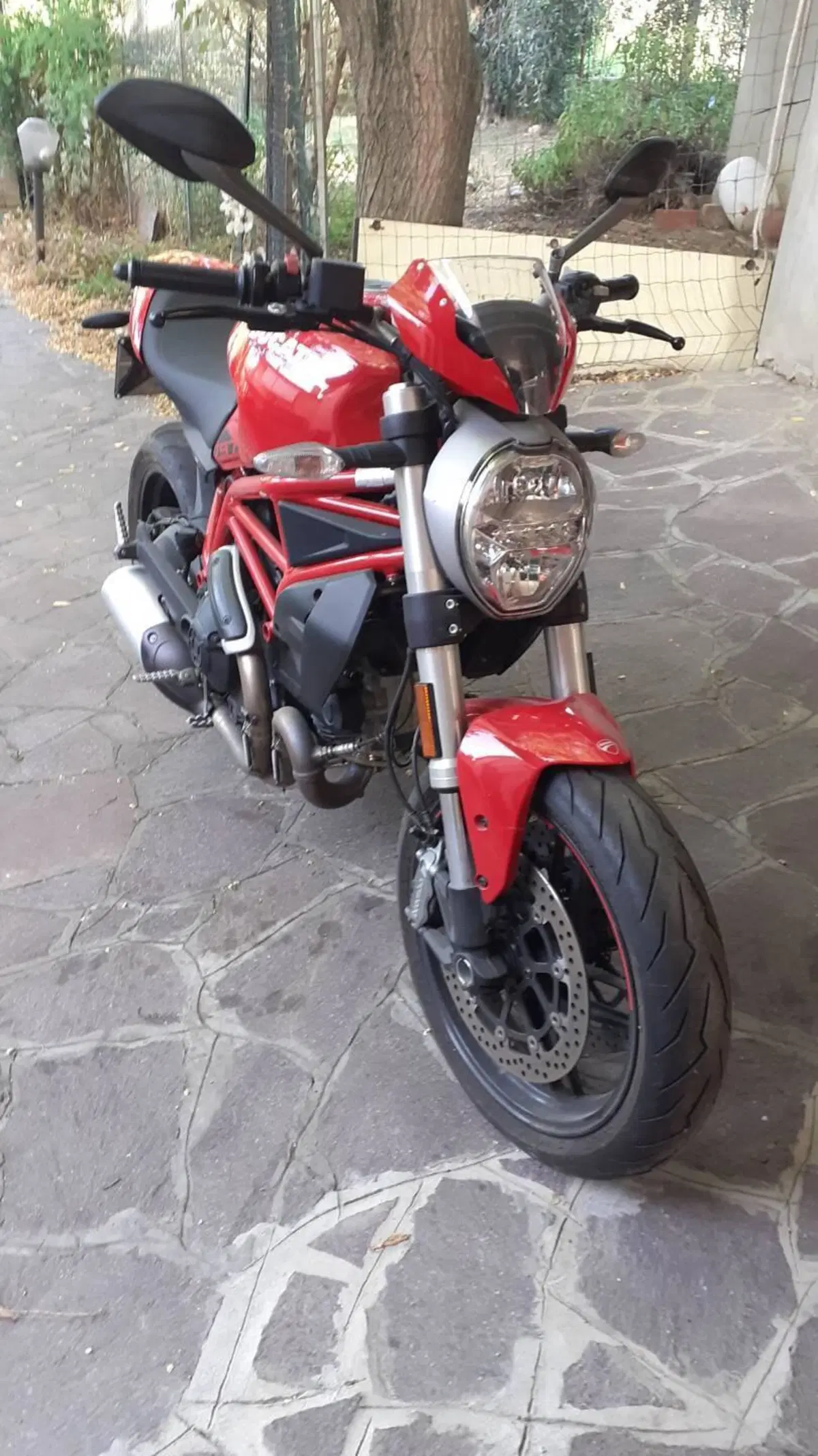 Ducati Monster 797 (2019 - 20) (2)