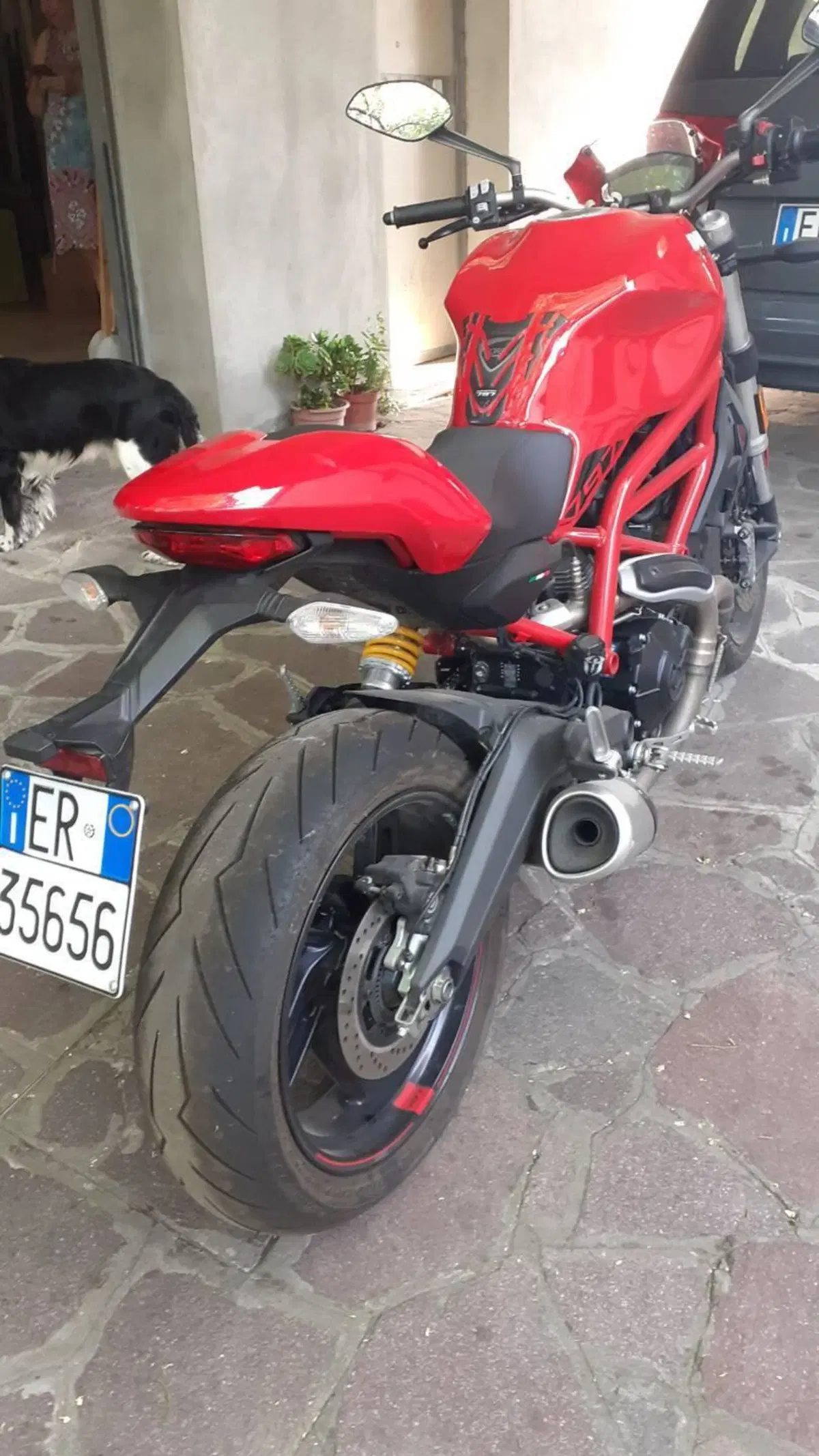 Ducati Monster 797 (2019 - 20) (3)