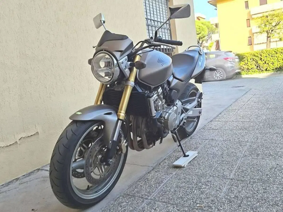 Honda Hornet 600 (2005 - 06) (3)