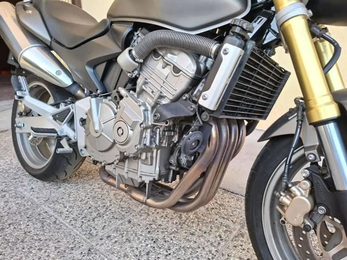 Honda Hornet 600 (2005 - 06) (4)