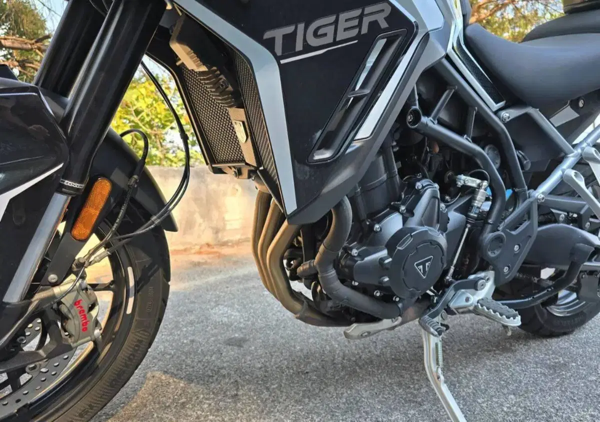 Triumph Tiger 900 GT Pro (2024 - 26) (7)