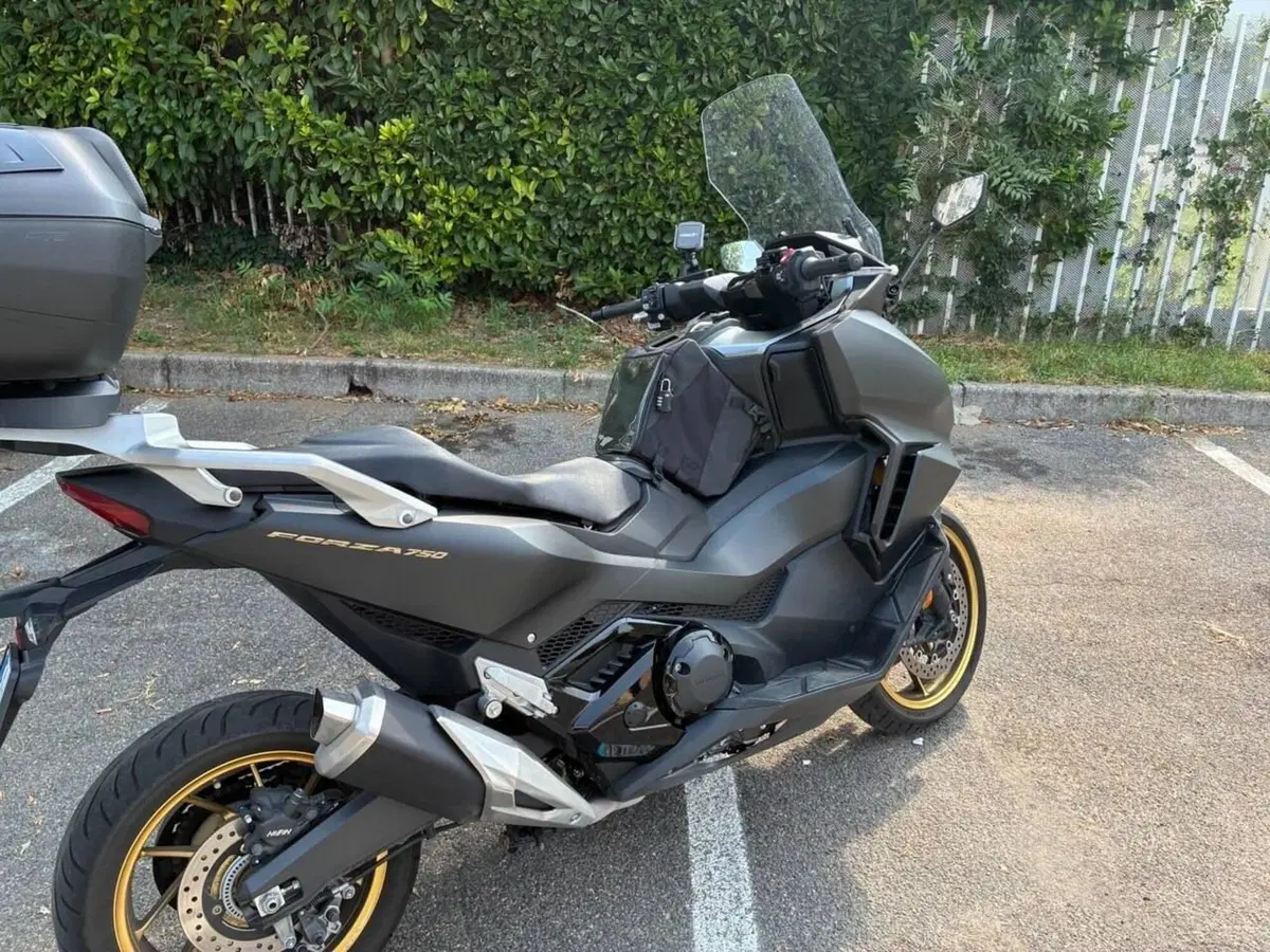 Honda Forza 750 DCT Special Edition (2024) (5)