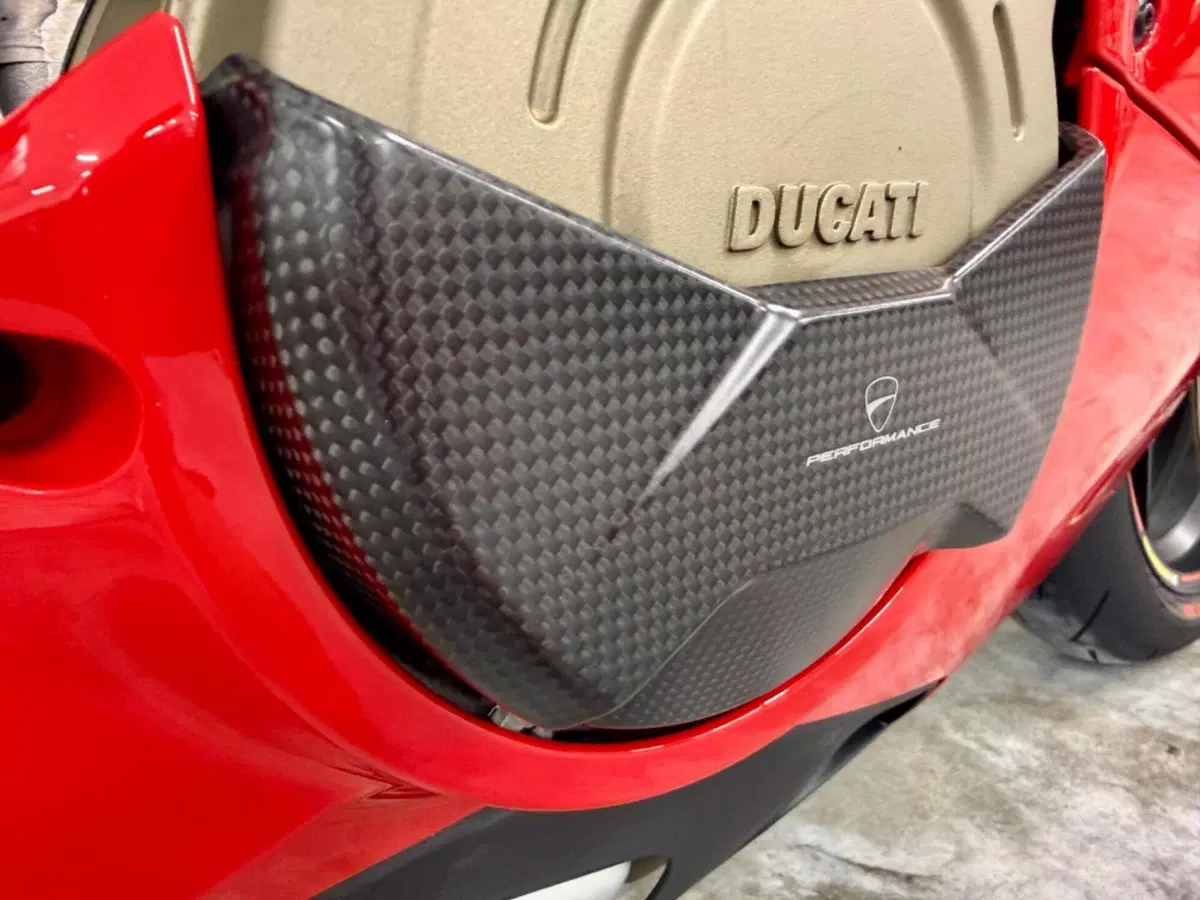Ducati Panigale V4 S 1100 (2018 - 19) (8)