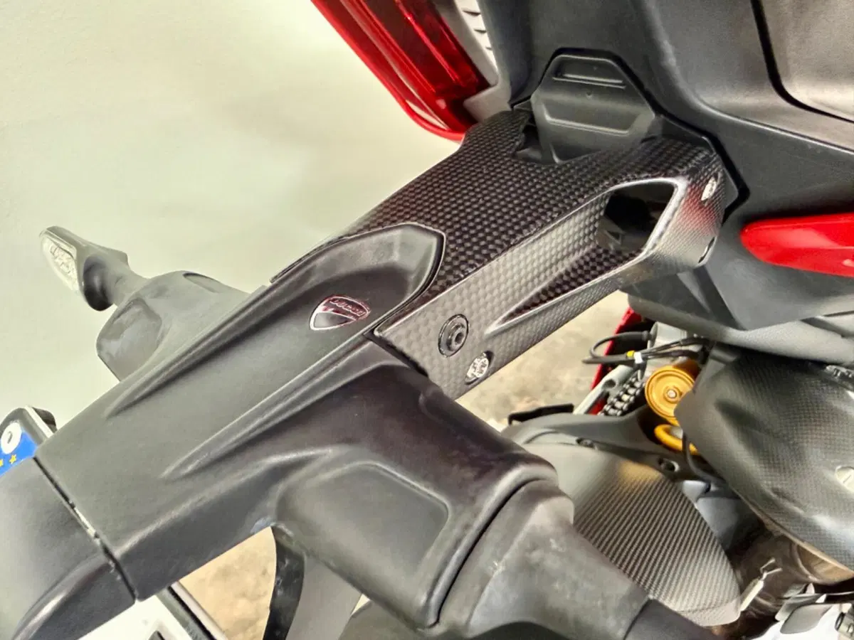 Ducati Panigale V4 S 1100 (2018 - 19) (10)