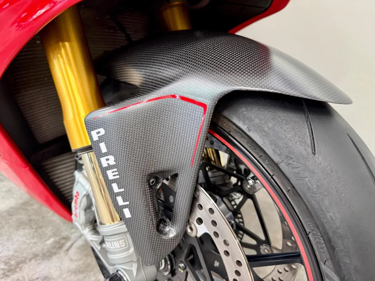 Ducati Panigale V4 S 1100 (2018 - 19) (11)