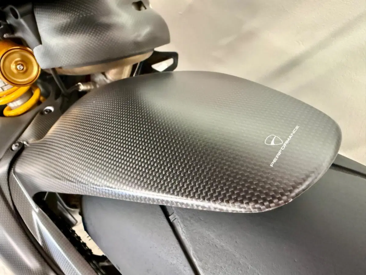 Ducati Panigale V4 S 1100 (2018 - 19) (13)