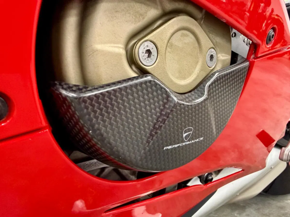 Ducati Panigale V4 S 1100 (2018 - 19) (14)