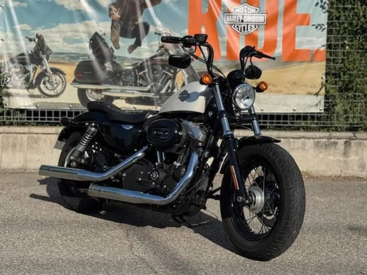 Harley-Davidson 1200 Forty-Eight (2010 - 15) (4)