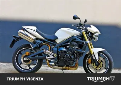 Triumph Street Triple (2007 - 12) usata