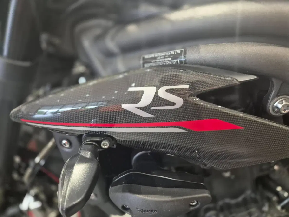 Triumph Speed Triple 1050 RS (2018 - 20) (7)