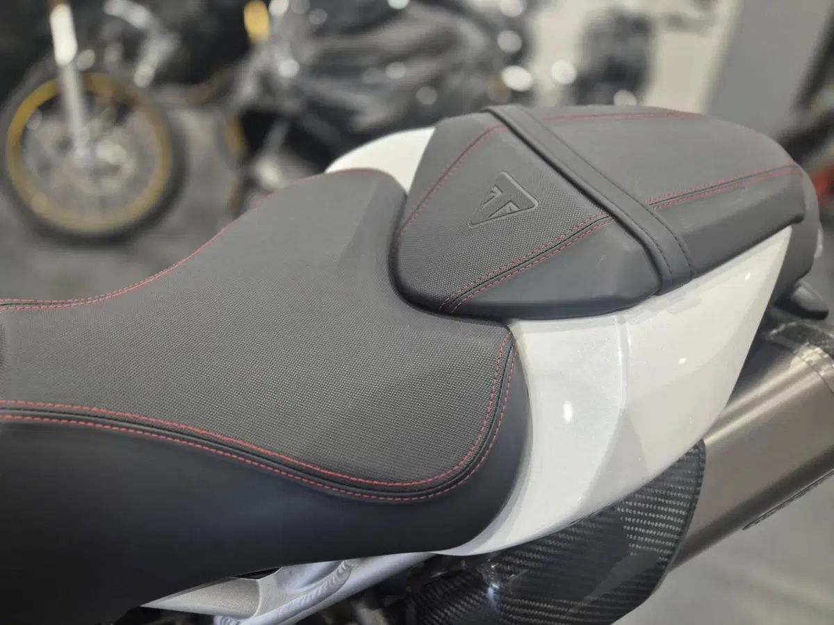 Triumph Speed Triple 1050 RS (2018 - 20) (9)