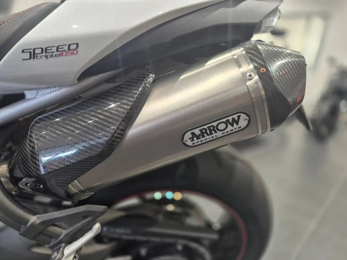 Triumph Speed Triple 1050 RS (2018 - 20) (10)