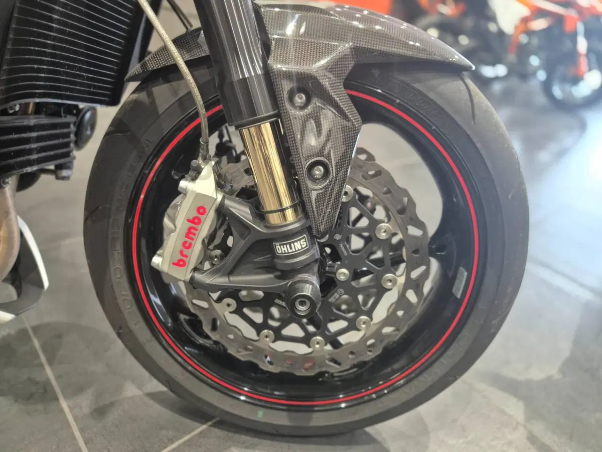 Triumph Speed Triple 1050 RS (2018 - 20) (12)