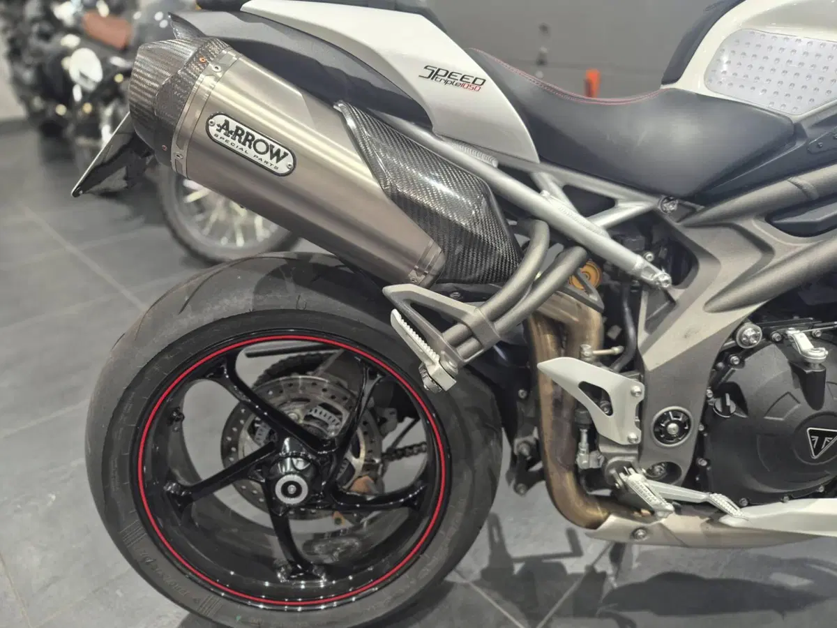 Triumph Speed Triple 1050 RS (2018 - 20) (13)