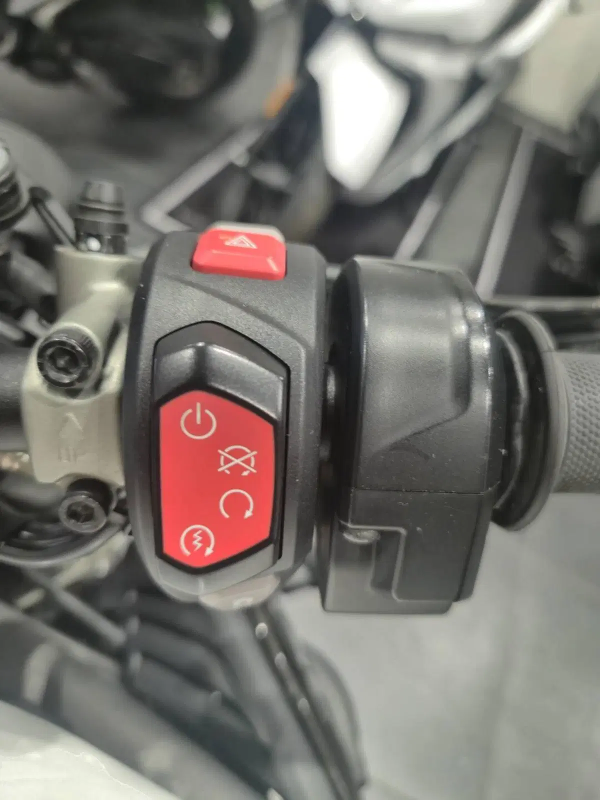 Triumph Speed Triple 1050 RS (2018 - 20) (16)