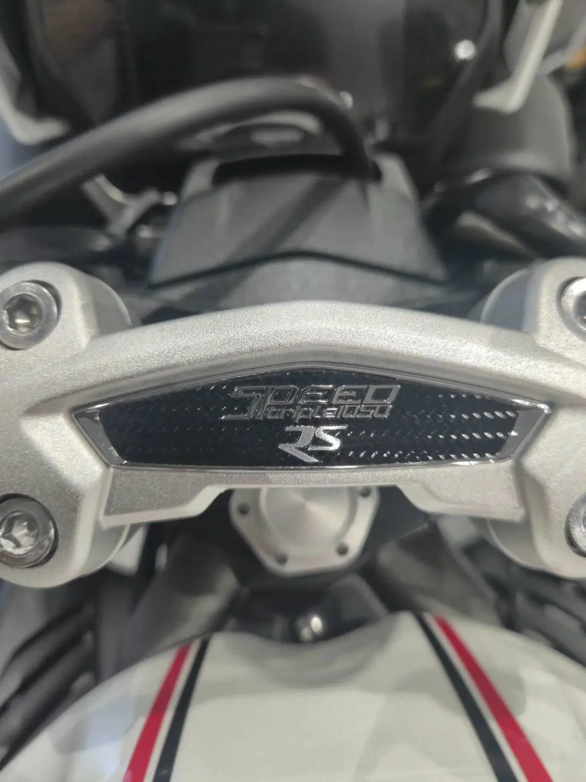 Triumph Speed Triple 1050 RS (2018 - 20) (17)