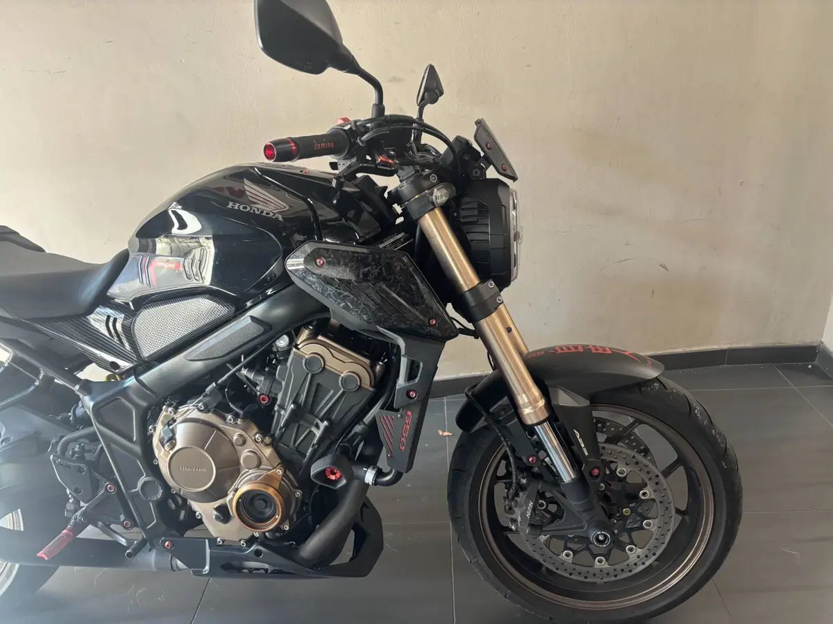 Honda CB 650 R (2019 - 20) (7)