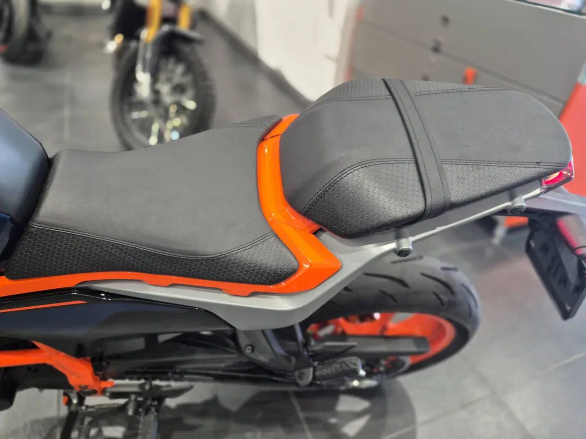 KTM 390 Duke (2024 - 25) (14)