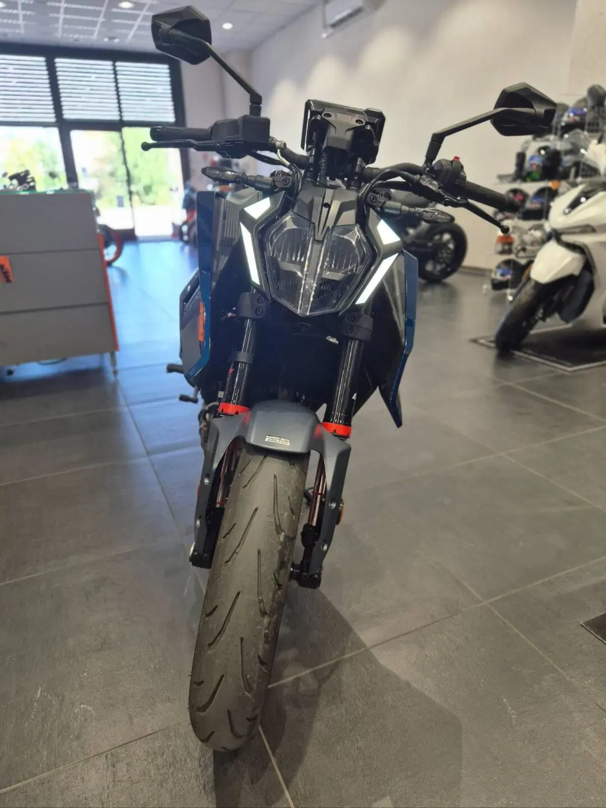 KTM 390 Duke (2024 - 25) (6)