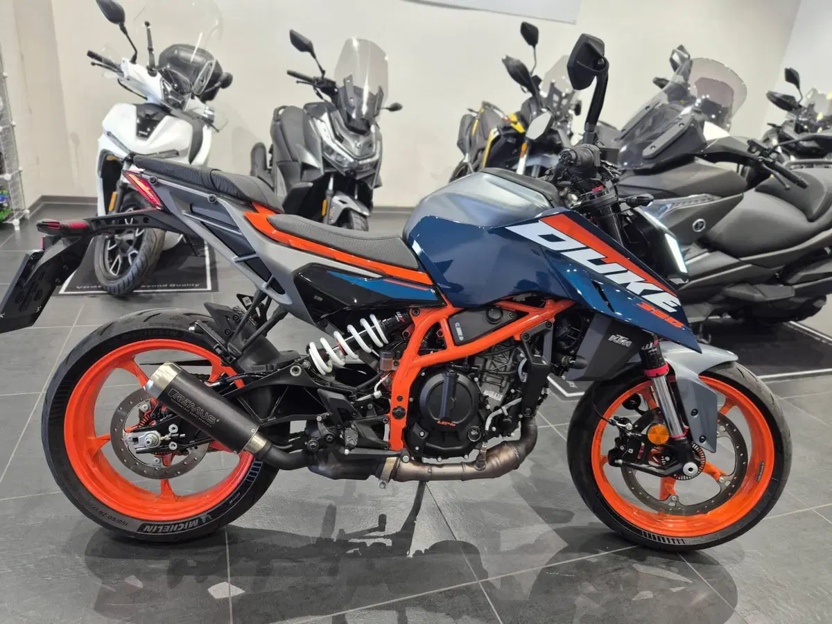 KTM 390 Duke (2024 - 25)