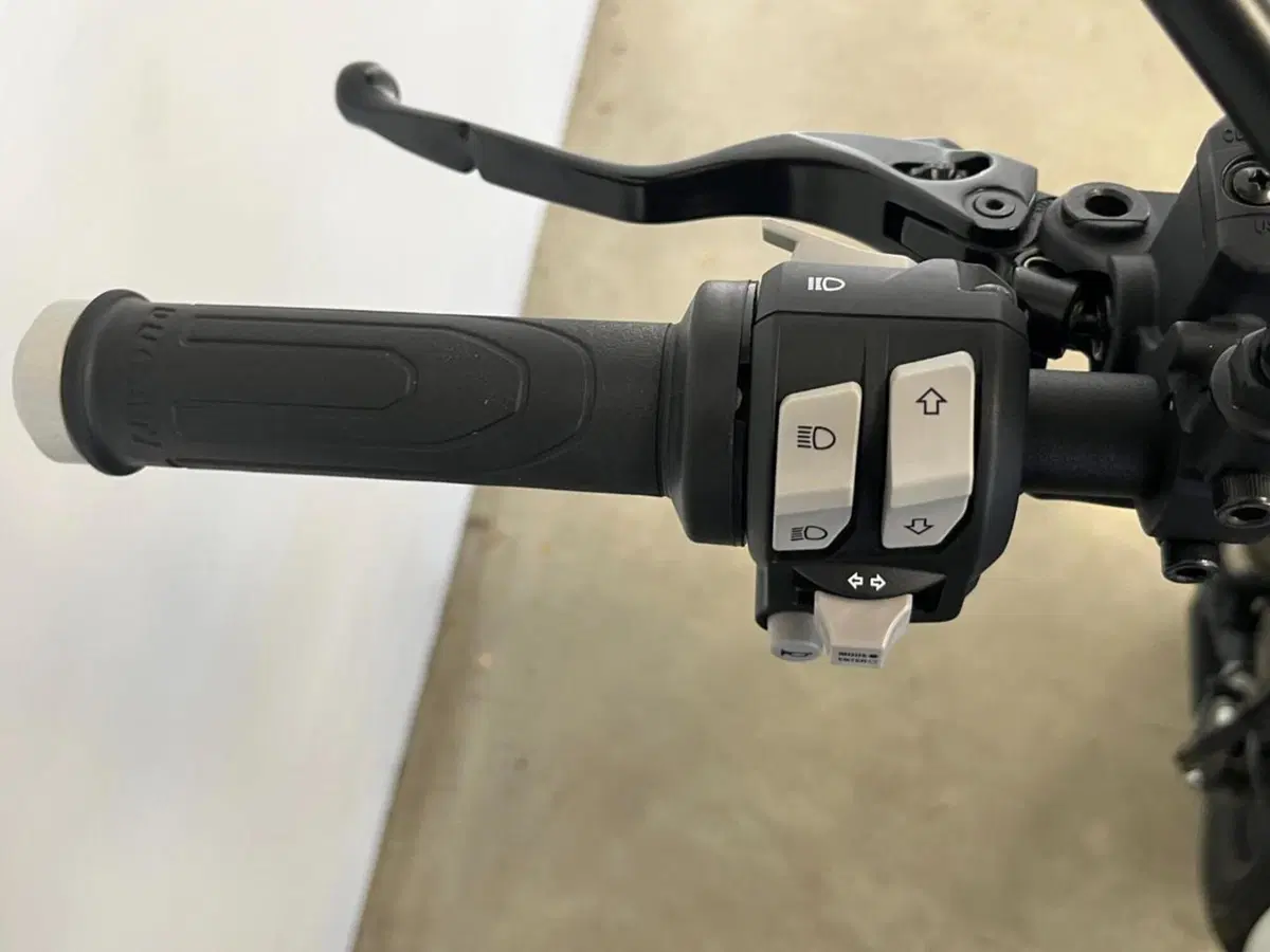 Ducati Scrambler 1100 Dark Pro (2020 - 24) (12)