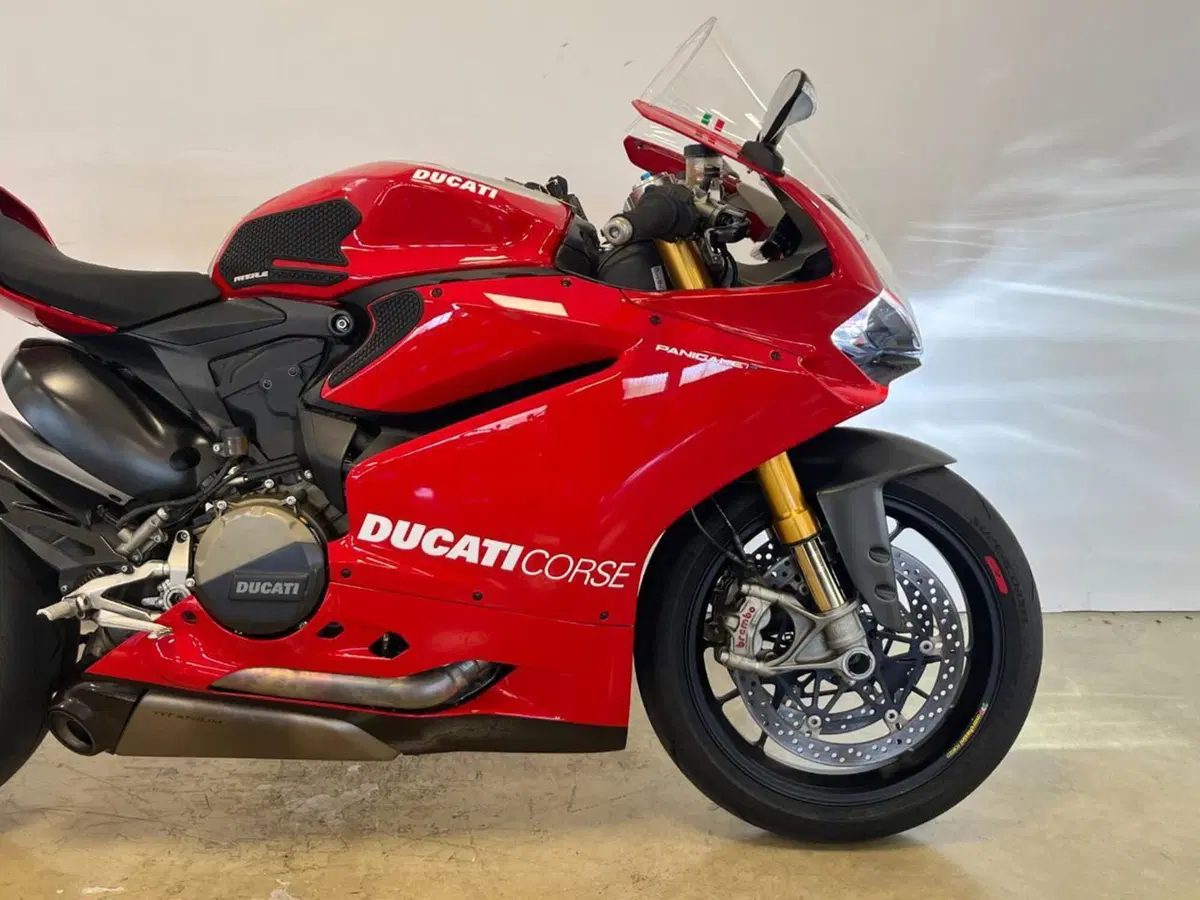 Ducati 1199 Panigale R ABS (2013 - 17) (7)