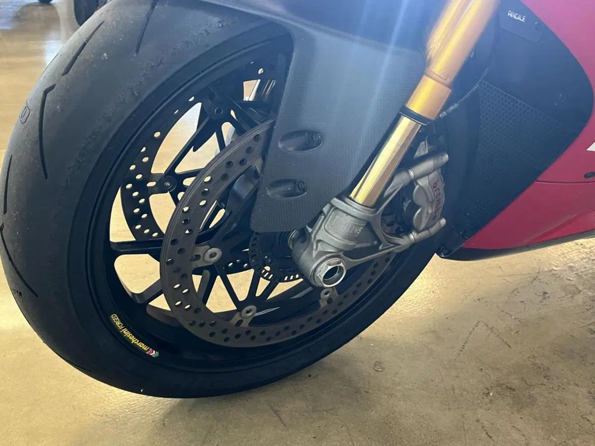 Ducati 1199 Panigale R ABS (2013 - 17) (4)