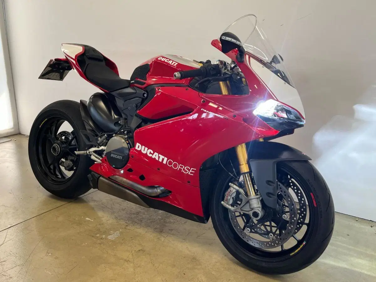 Ducati 1199 Panigale R ABS (2013 - 17) (2)