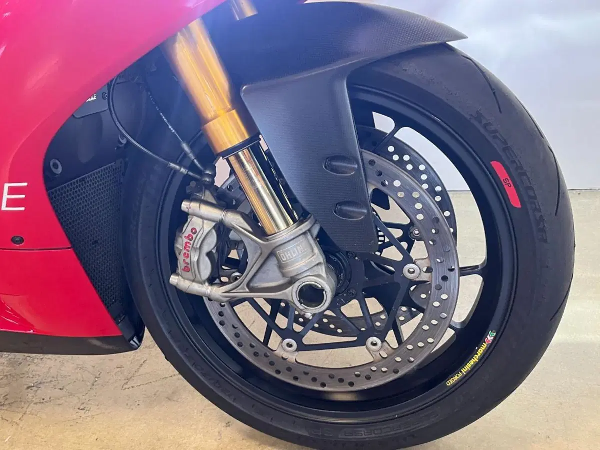 Ducati 1199 Panigale R ABS (2013 - 17) (5)