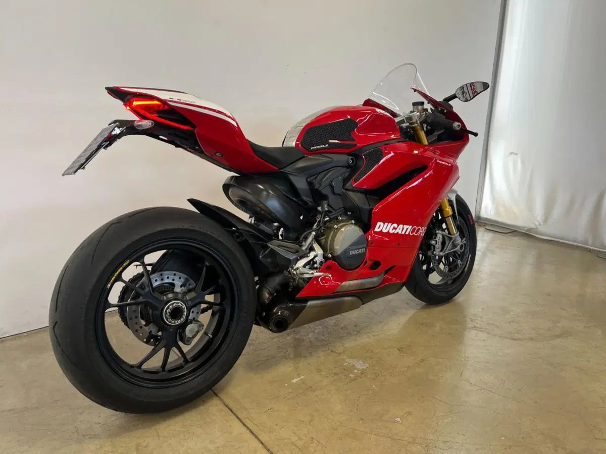 Ducati 1199 Panigale R ABS (2013 - 17) (9)