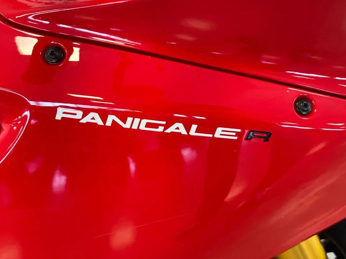 Ducati 1199 Panigale R ABS (2013 - 17) (6)