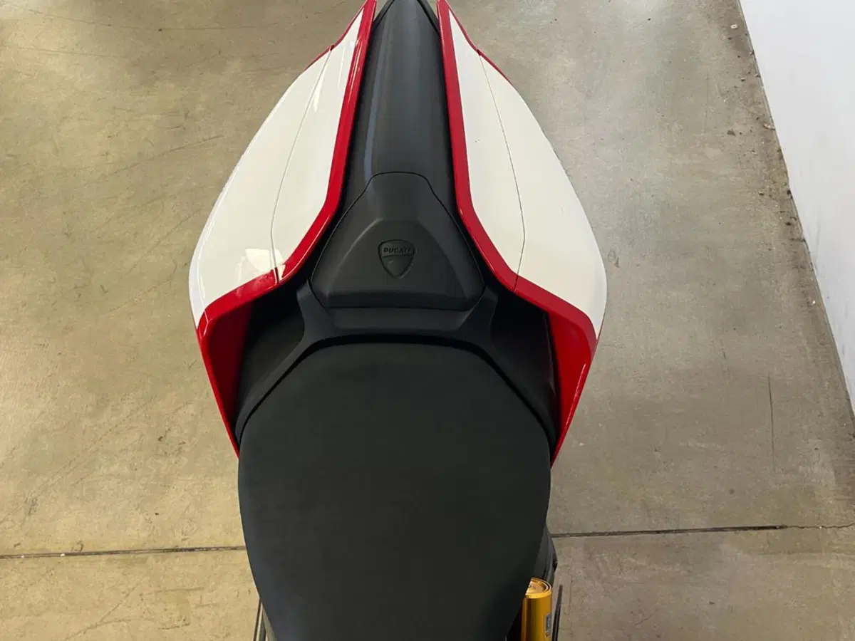 Ducati 1199 Panigale R ABS (2013 - 17) (12)
