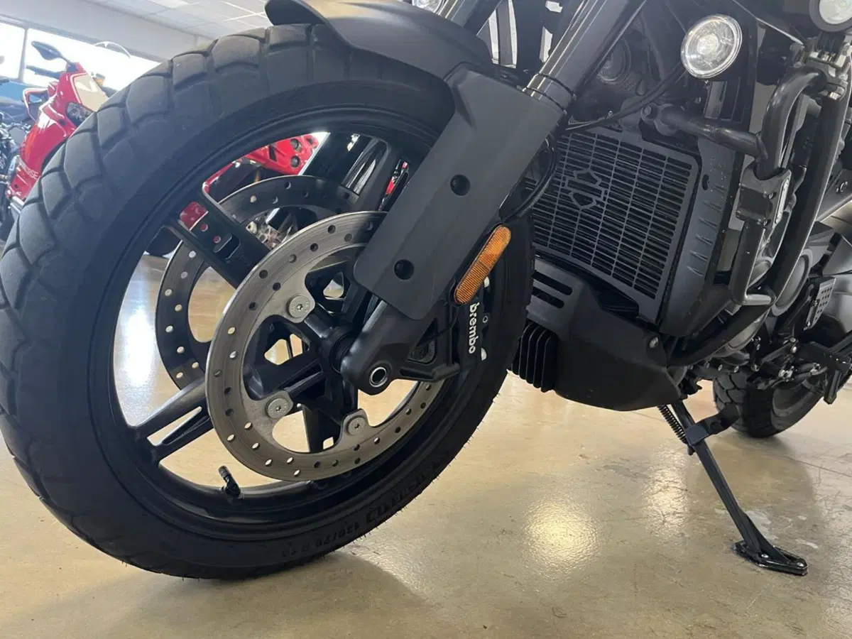 Harley-Davidson Pan America 1250 (2020 - 25) (3)