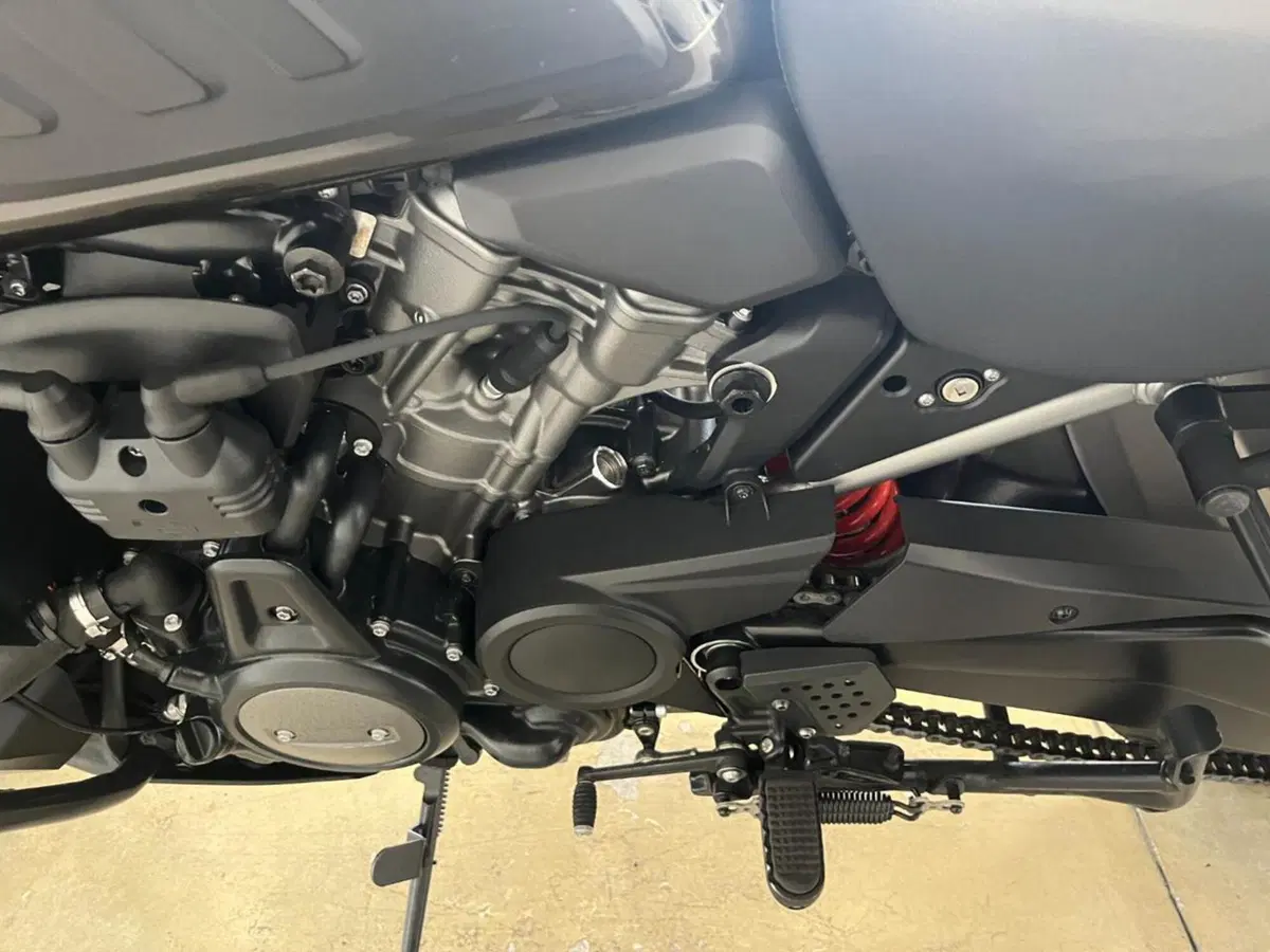Harley-Davidson Pan America 1250 (2020 - 25) (9)