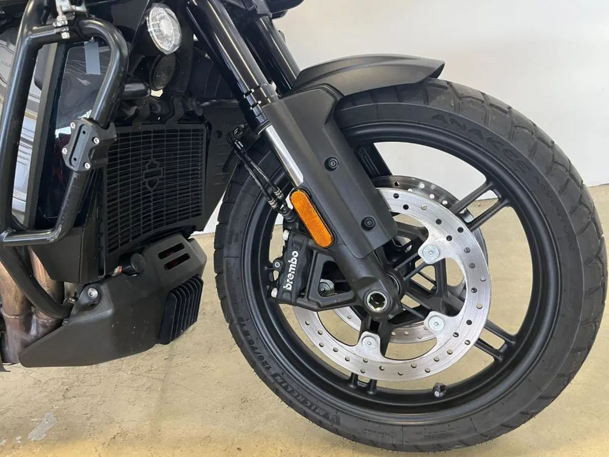 Harley-Davidson Pan America 1250 (2020 - 25) (4)